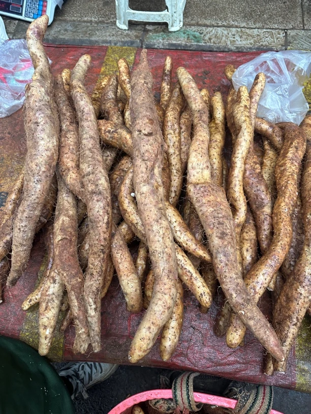 贵州户外赶集牛尾山药