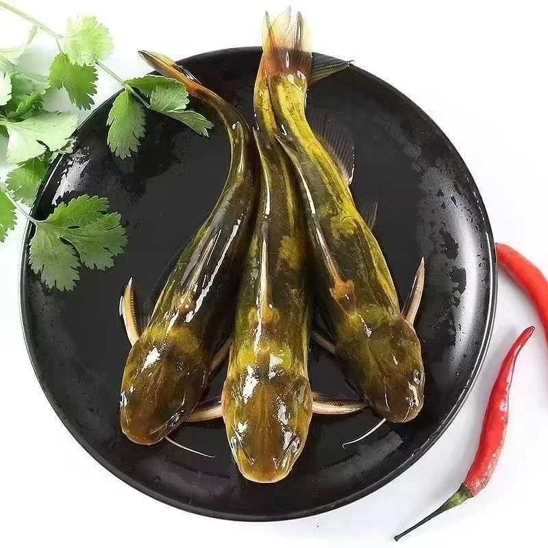 东北冷水嘎牙鱼味道鲜美顺丰冷链发货