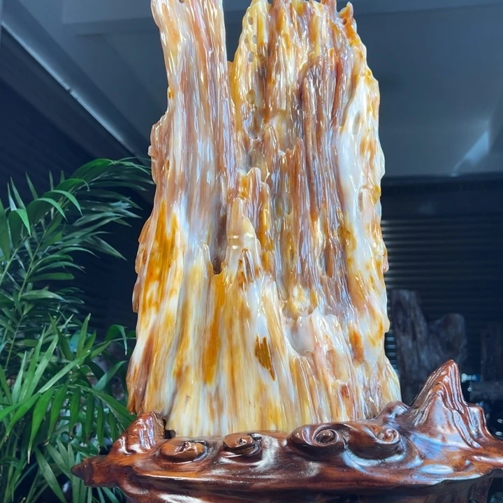 登***者硅化玉（树化玉）未镶嵌珠宝奇石