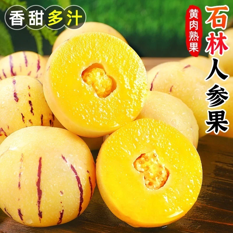 【香甜多汁】云南石林人参果1-5斤树上熟人生果成熟皮薄应季水果