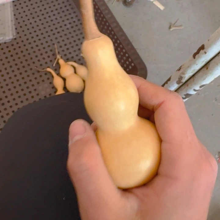 小***欧111111111111