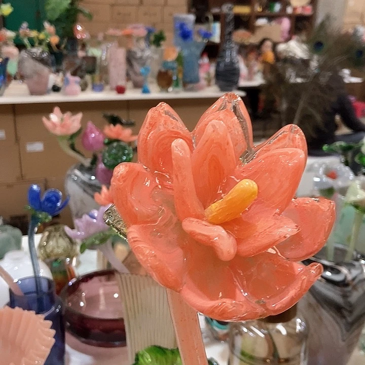 琉璃琉璃花高45口9