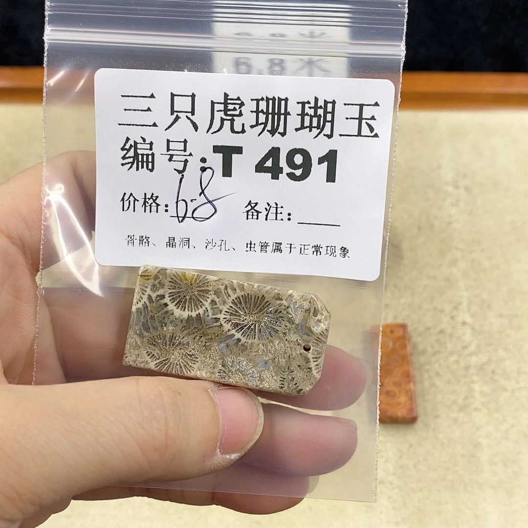 硅化珊瑚（珊瑚玉）1未镶嵌飘