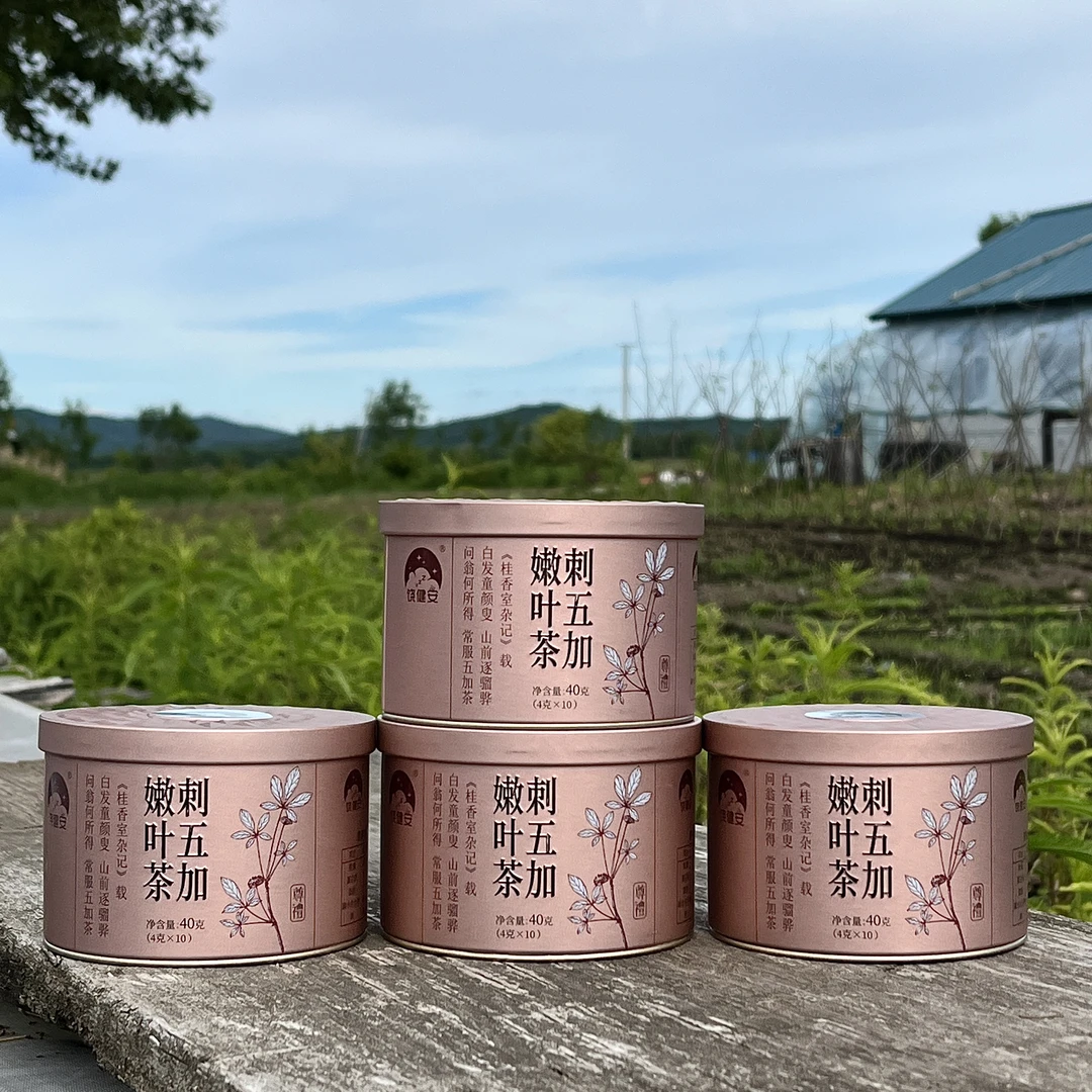 刺五加嫩叶茶新鲜绿色健康五加茶叶(4g*10)4盒