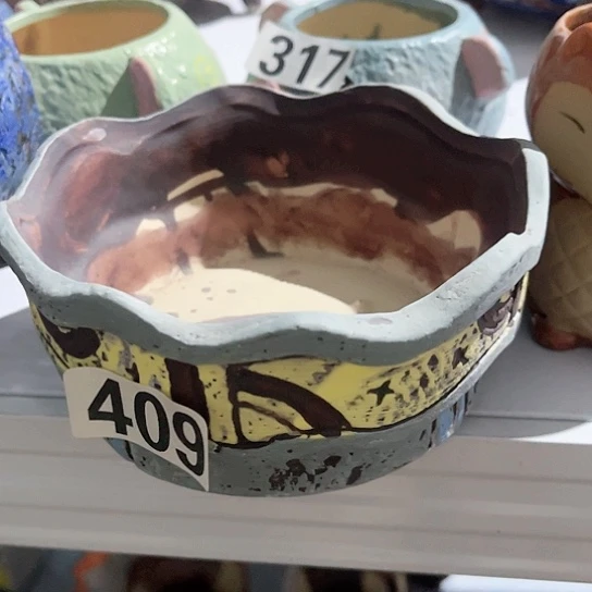 多肉植物花盆花盆