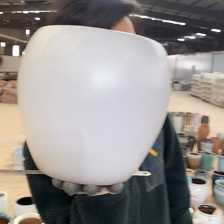 红陶正品高24口20