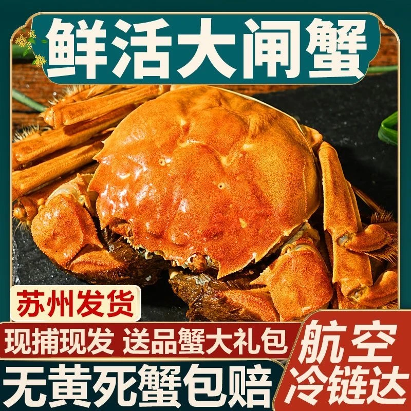 【活蟹】苏州大闸蟹全公蟹5.5-5.2两/买6只送2只共8只 礼盒装活蟹现发 顺丰/京东发货