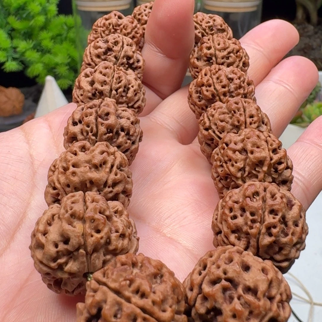 金刚菩提手串粗筋双龙