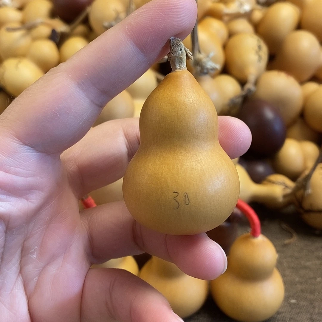 文玩葫芦 完美主义者 慎拍30