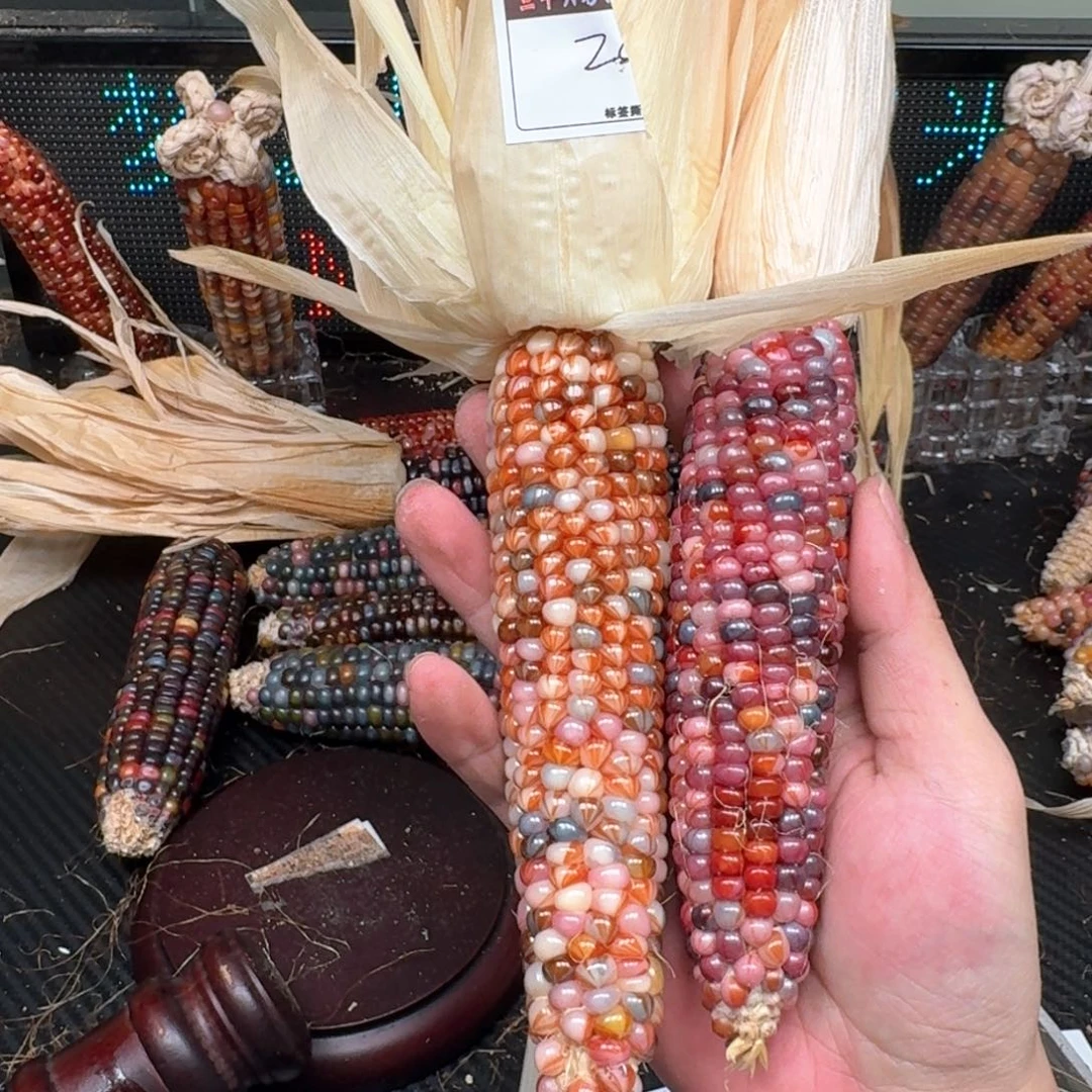 柏香籽/百香籽吊坠安*姐