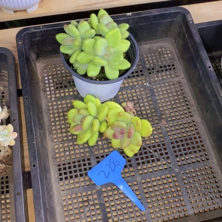 在家闲不住也可以用上