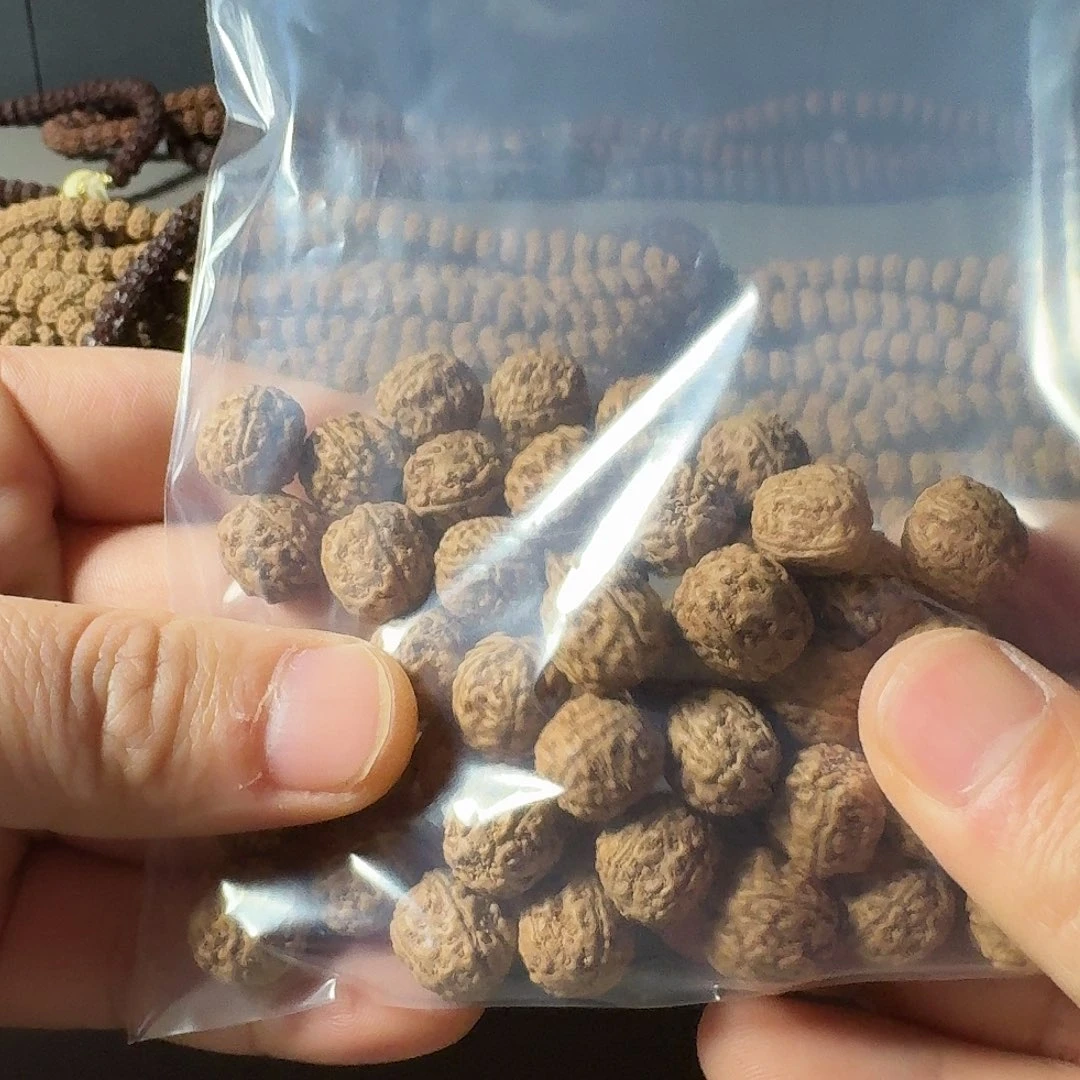 *****吊坠金刚菩提盘龙12