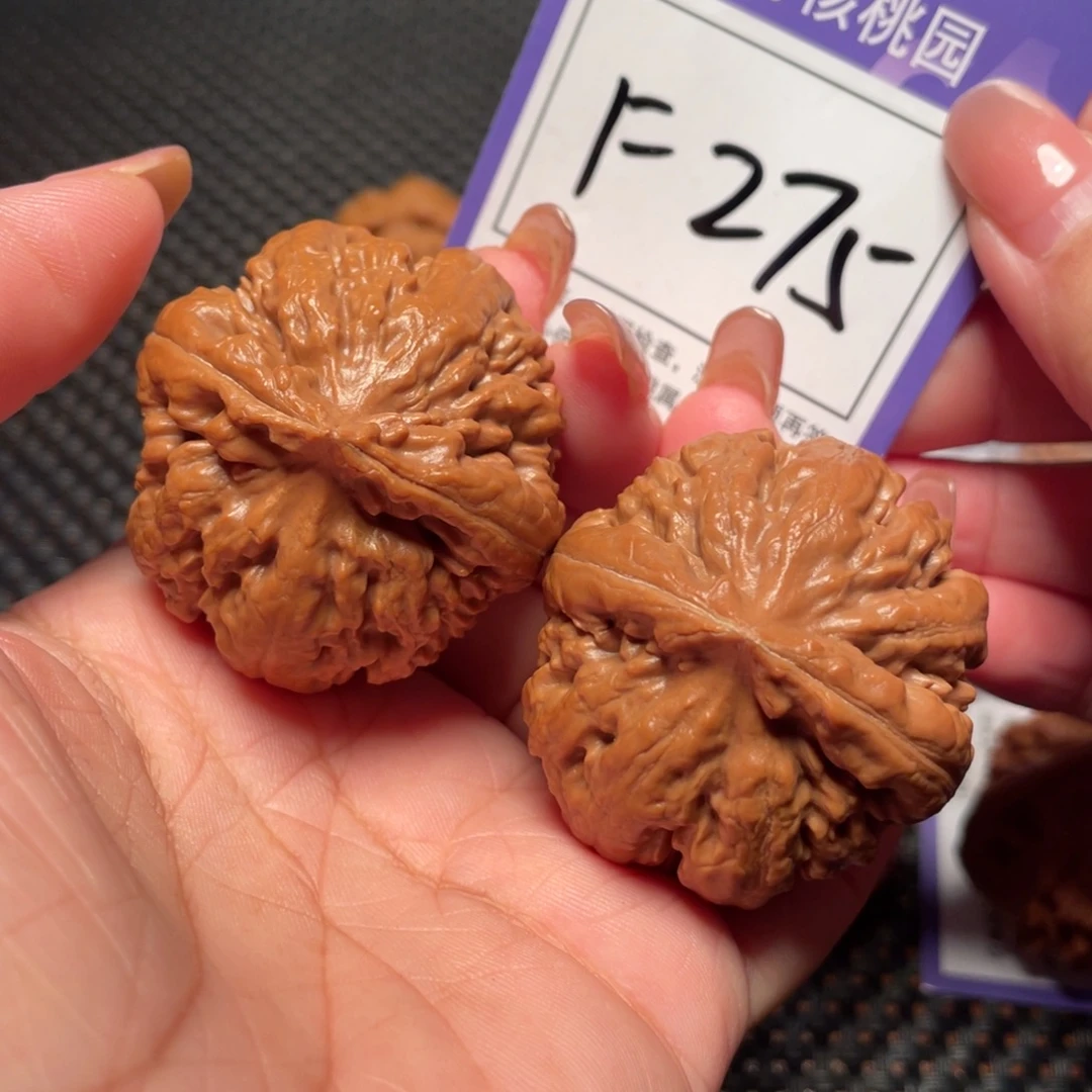 把件桃核275号霸王龙40