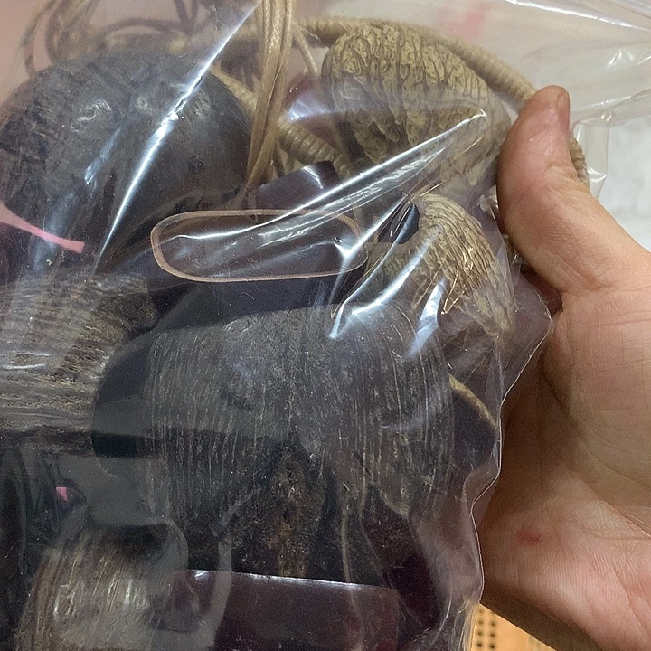 春****千眼菩提吊坠果壳