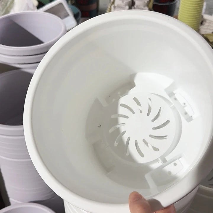 球根26口径6个无托白色