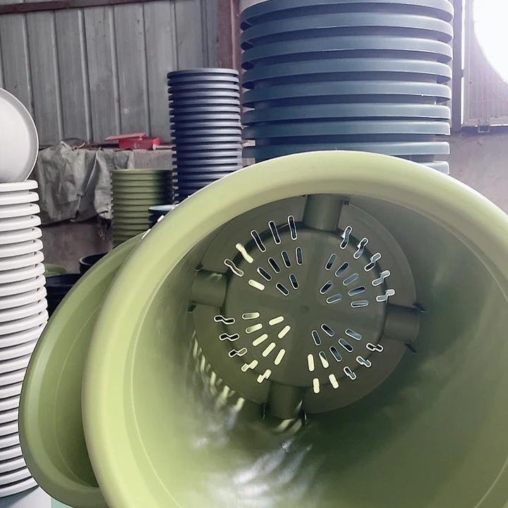 福利7号6个果绿色