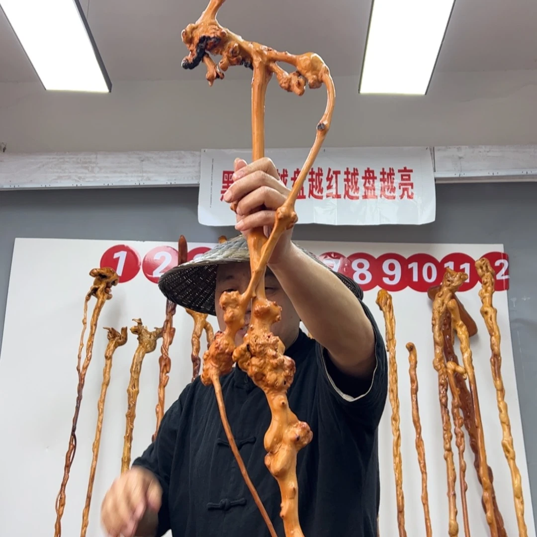 黑果木其他初*黑果木476