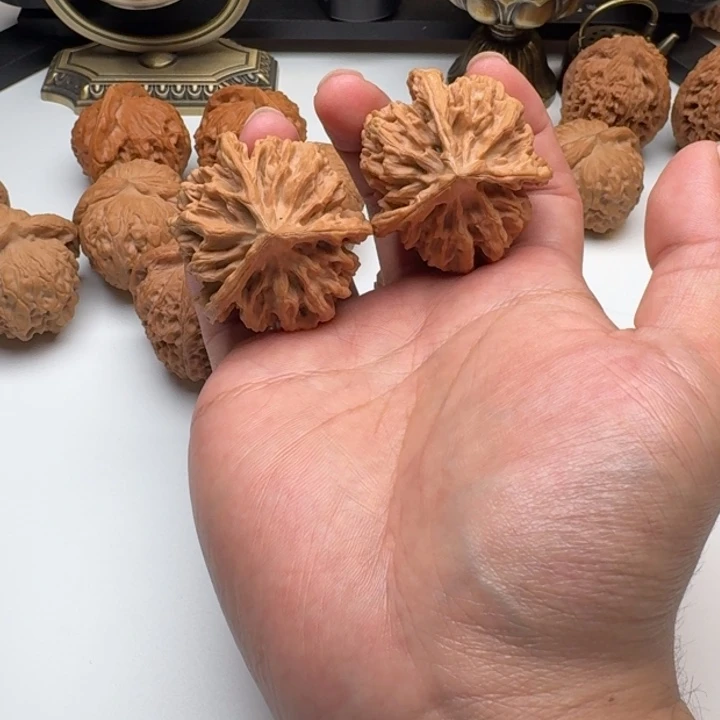 木质类龙纹三棱全品