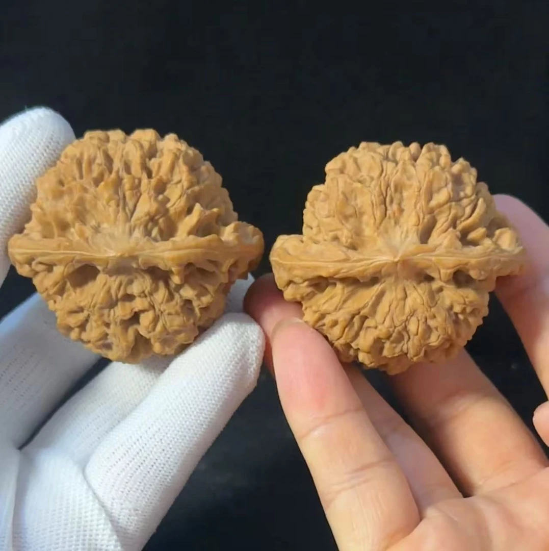 矮桩龙鼎狮子头文玩核桃