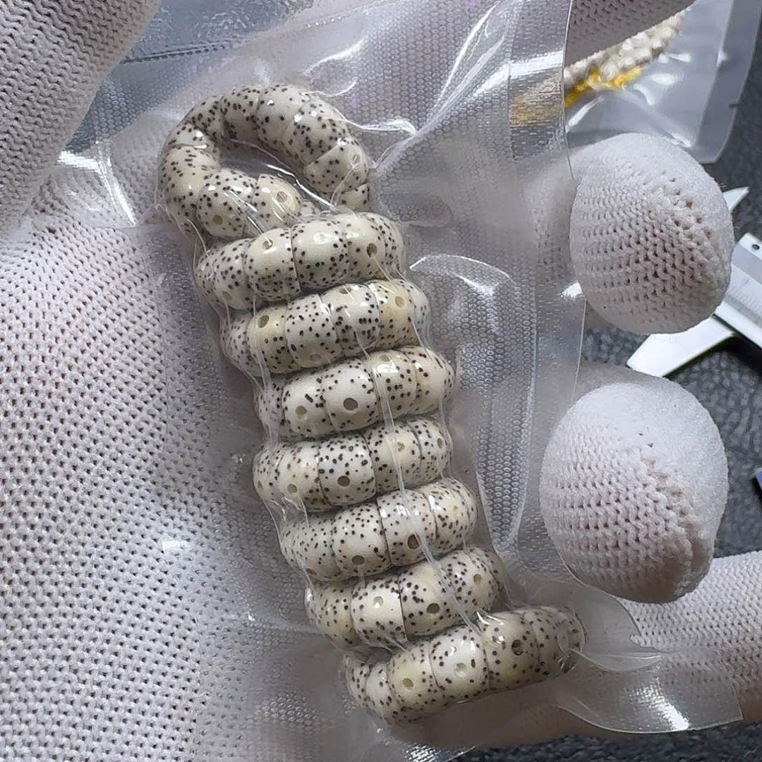 星月菩提手串8mm原生态大肠（轻微氧化