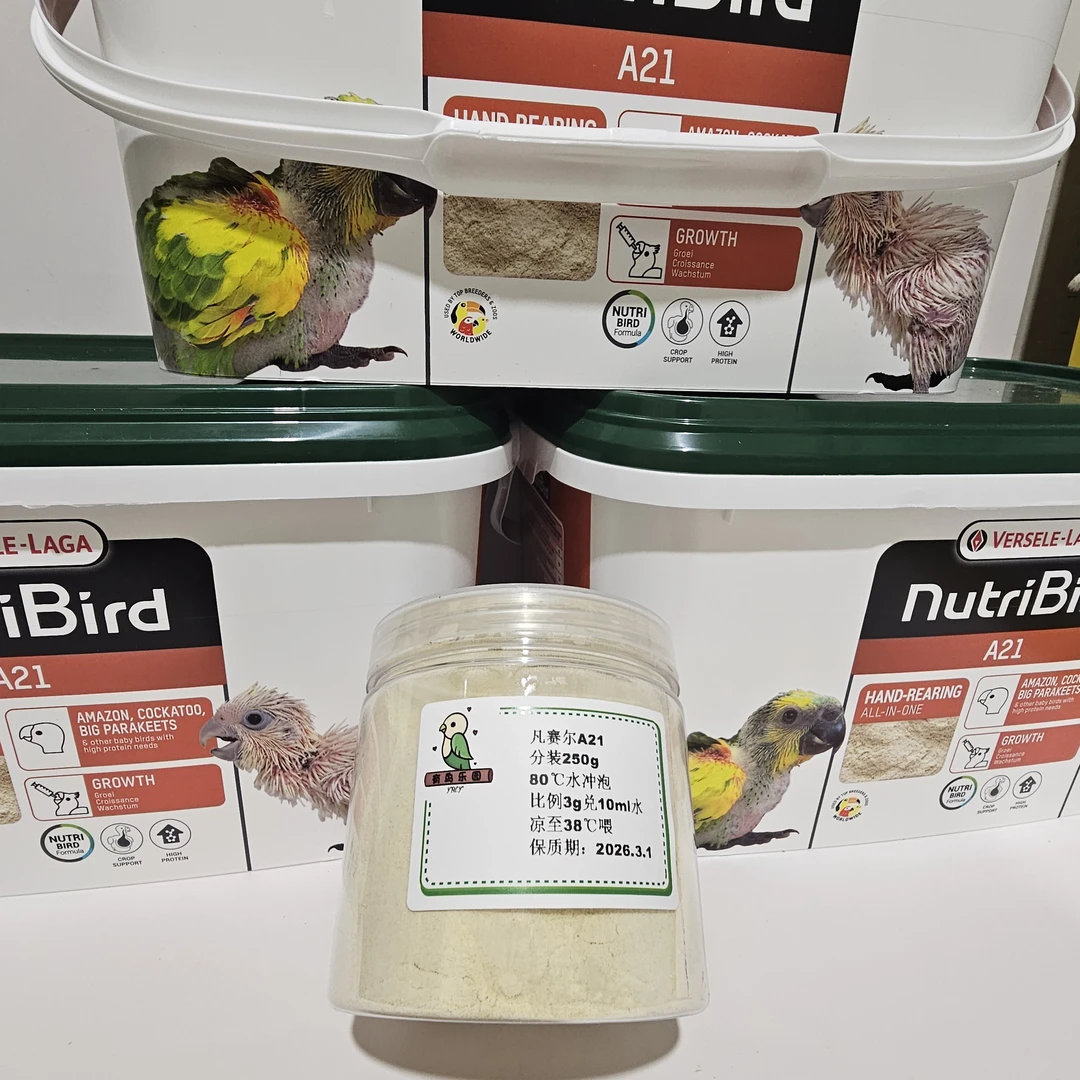 【自用分享】凡赛尔A21低脂分装鹦鹉奶粉250g送喂食器