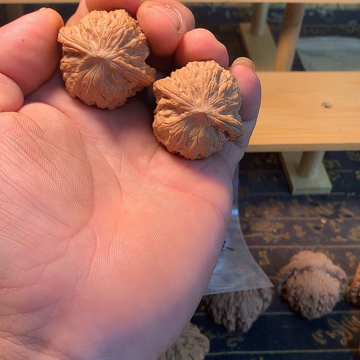 大叶紫檀（黑酸枝木类）