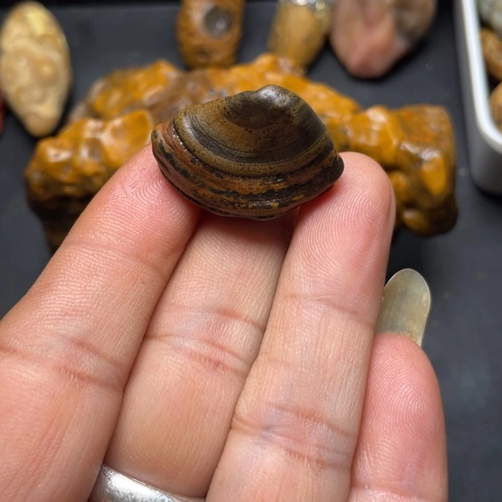 石材纯天然原石奇石141