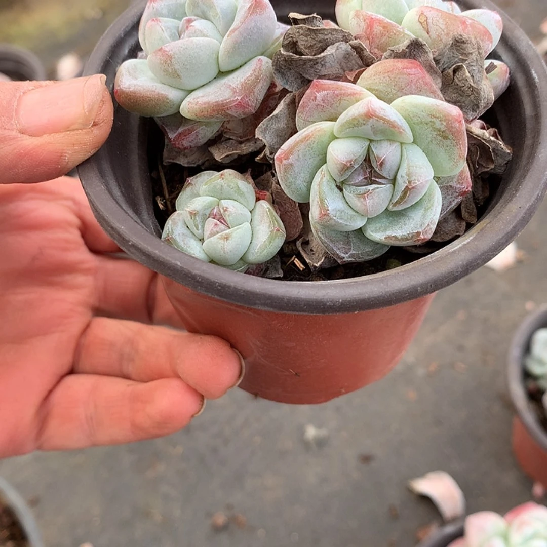 哈哈哈哈哈哈哈哈6