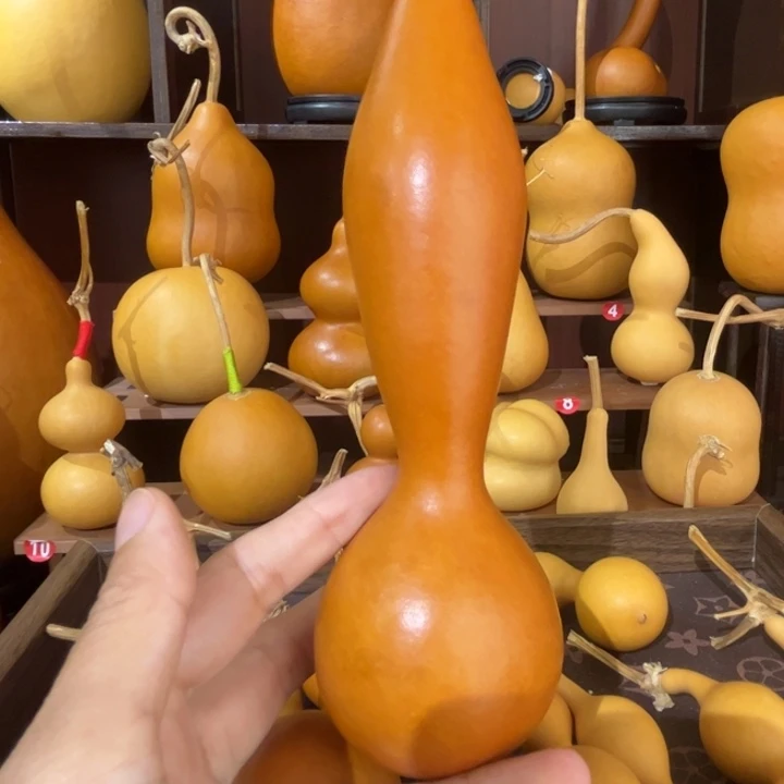 天然大一代老皮蚂蚁