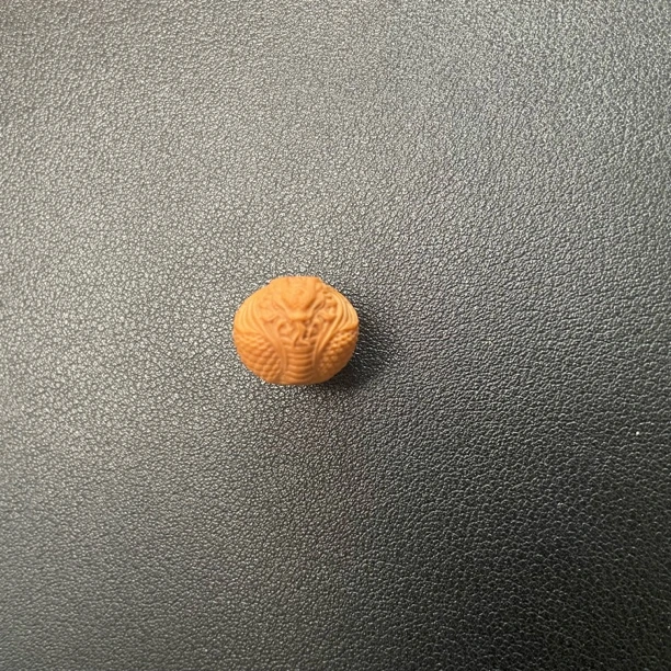 精品猴头雕刻双影蛇王单颗16+尺寸