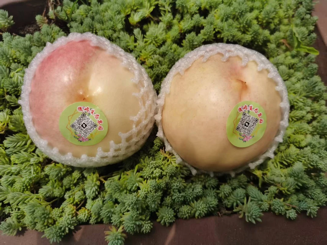 油桃新鲜应季水果桃子酸甜爆汁12枚精品大果净重4.5斤