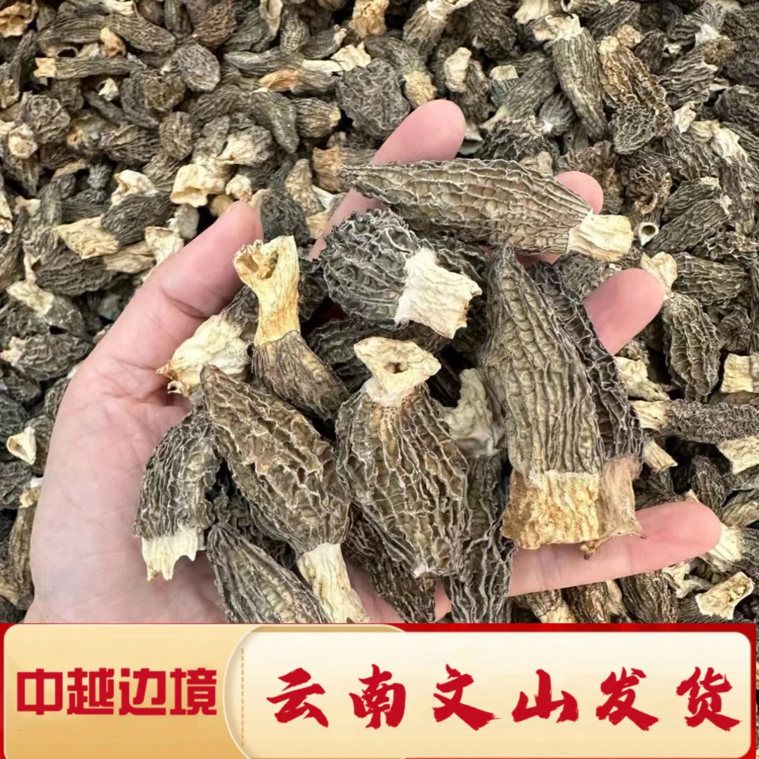 一村一品山野好货——精选羊肚菌