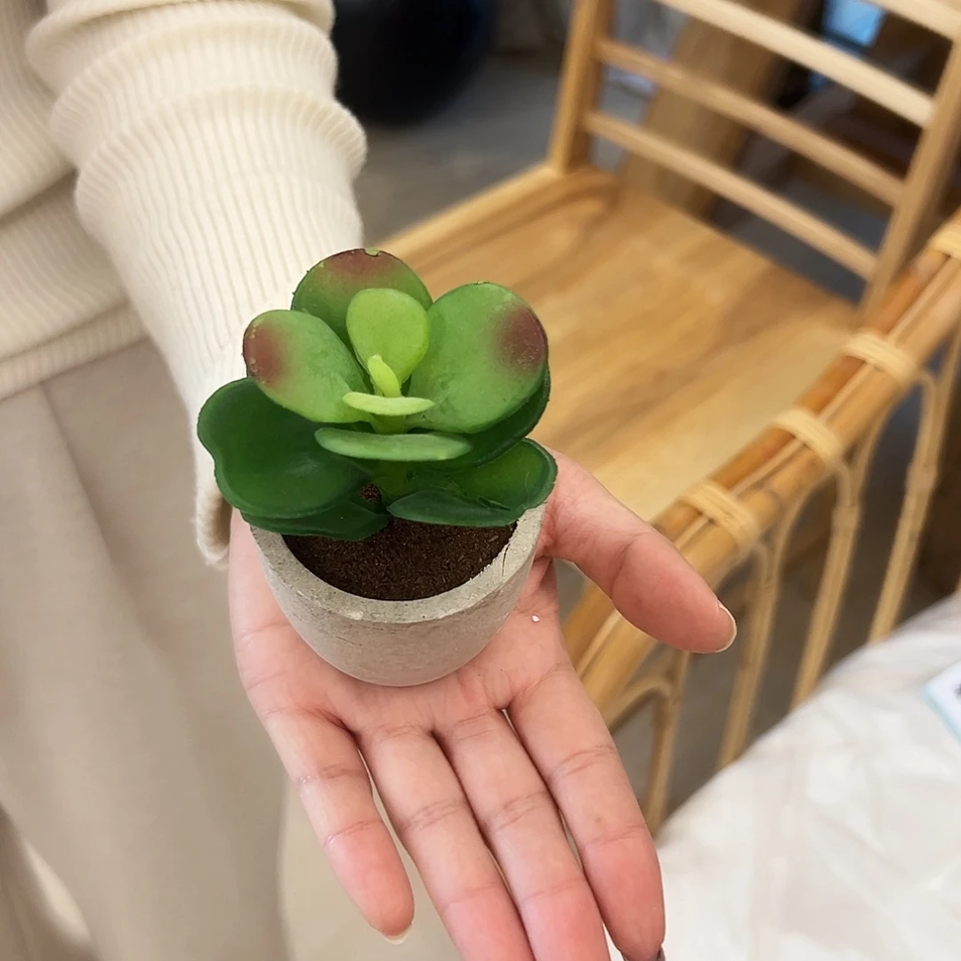 抖音直播福利一盆