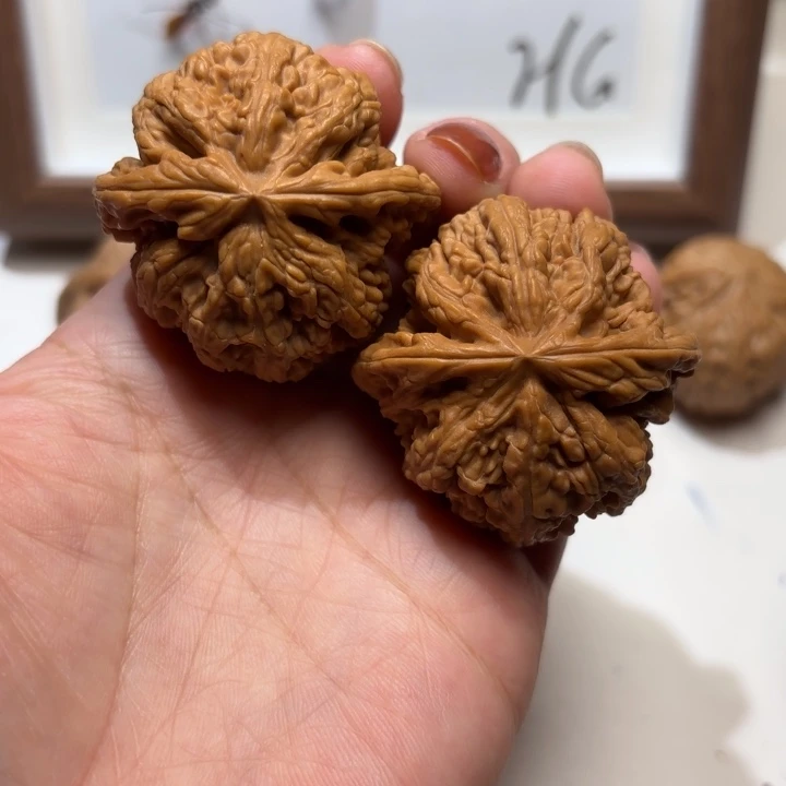 把件文玩核桃粗筋