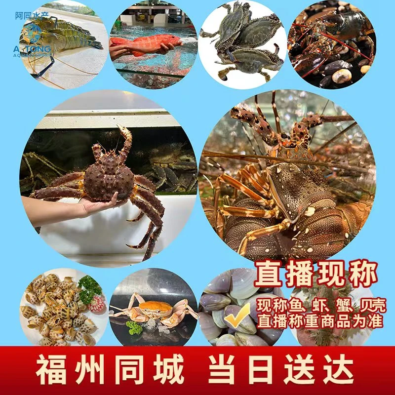 【阿同优选】鱼虾蟹组合7号仅省内可拍