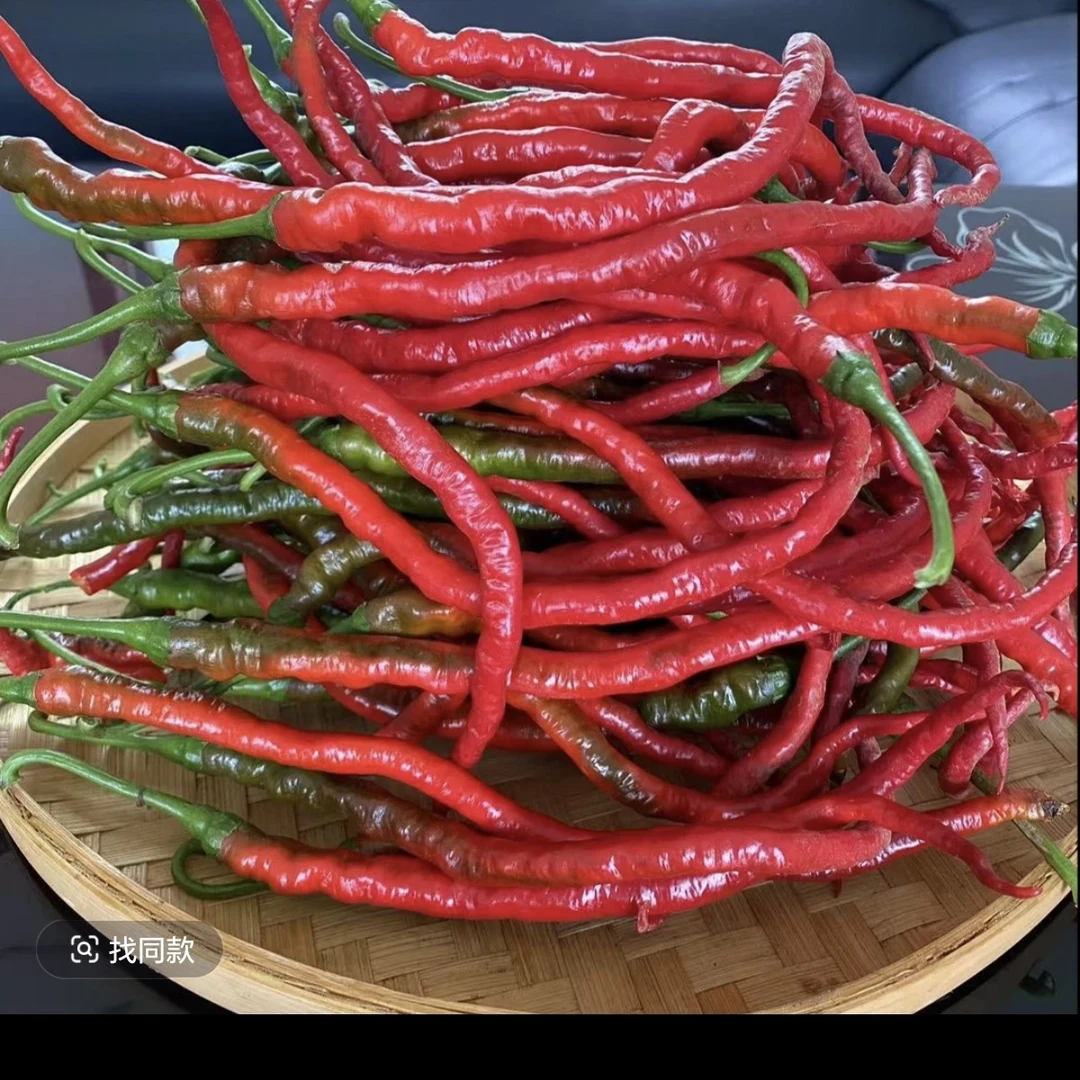 湘西高山老品种农家土辣椒现摘现发