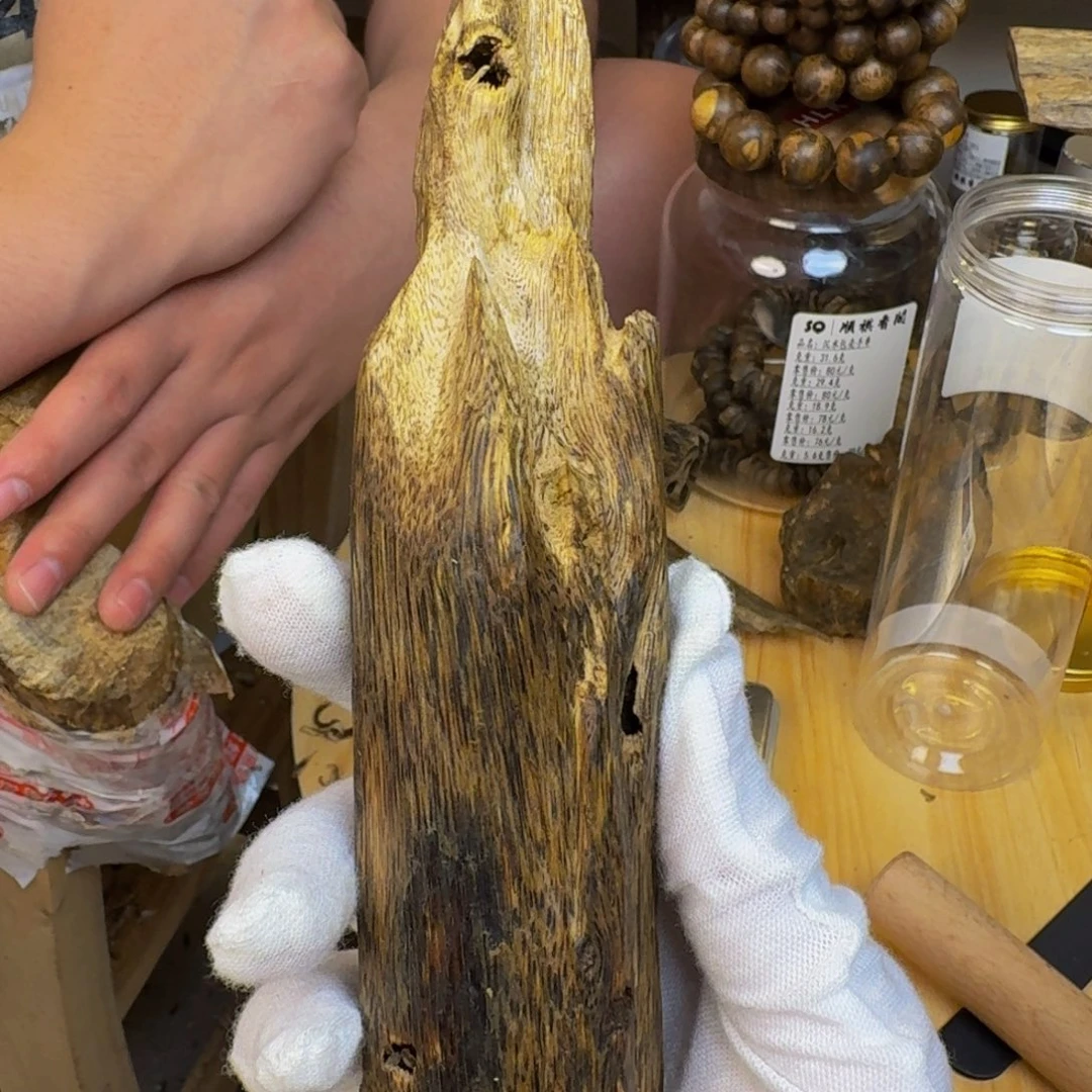 沉香碎屑沉香海南千里香一代苗59克