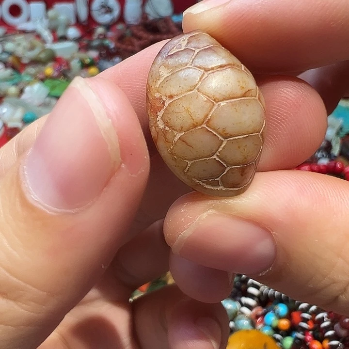 谢谢你的支持和信任