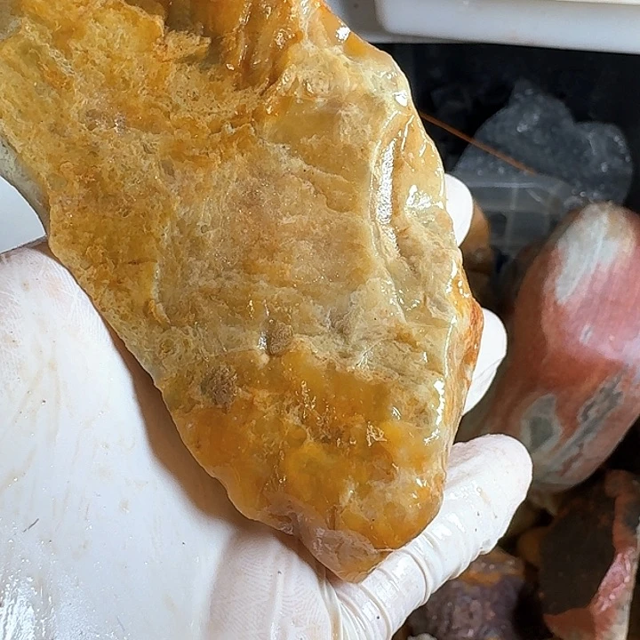 寿山石斑**马寿山石的故事