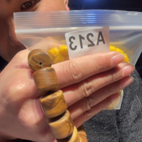 大叶紫檀（黑酸枝木类）213