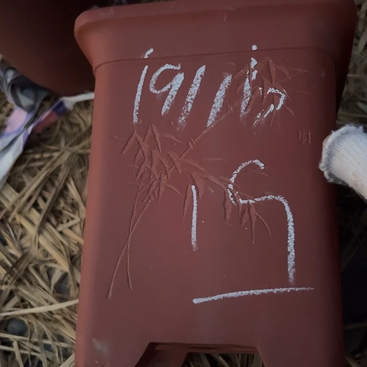 紫砂紫砂紫砂紫砂紫砂