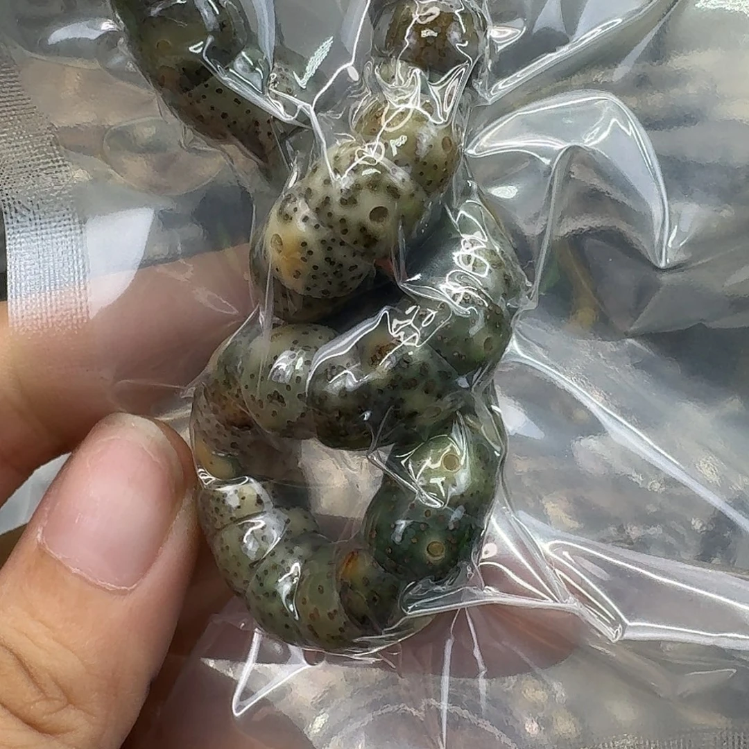 星月菩提手串79快乐10