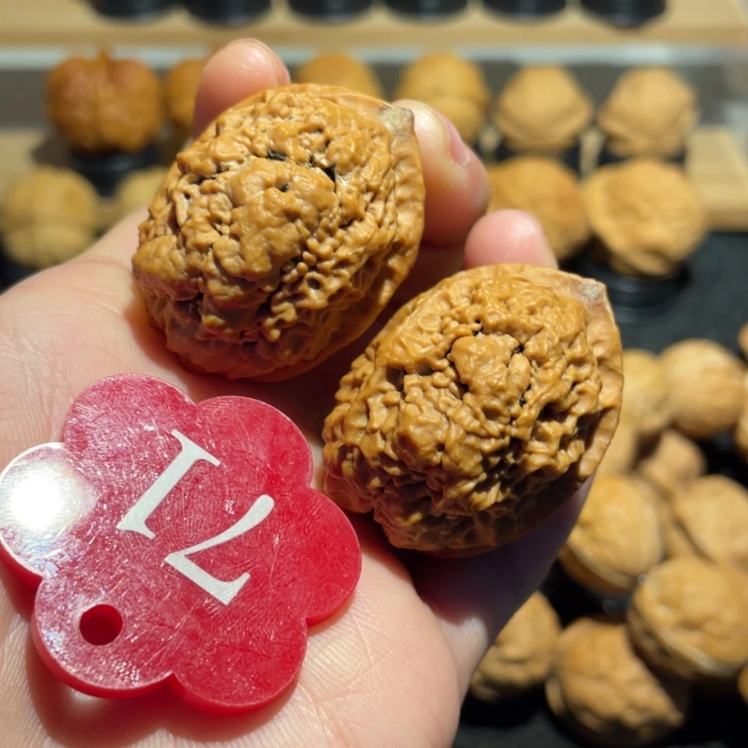 暴雪舍利核桃35。