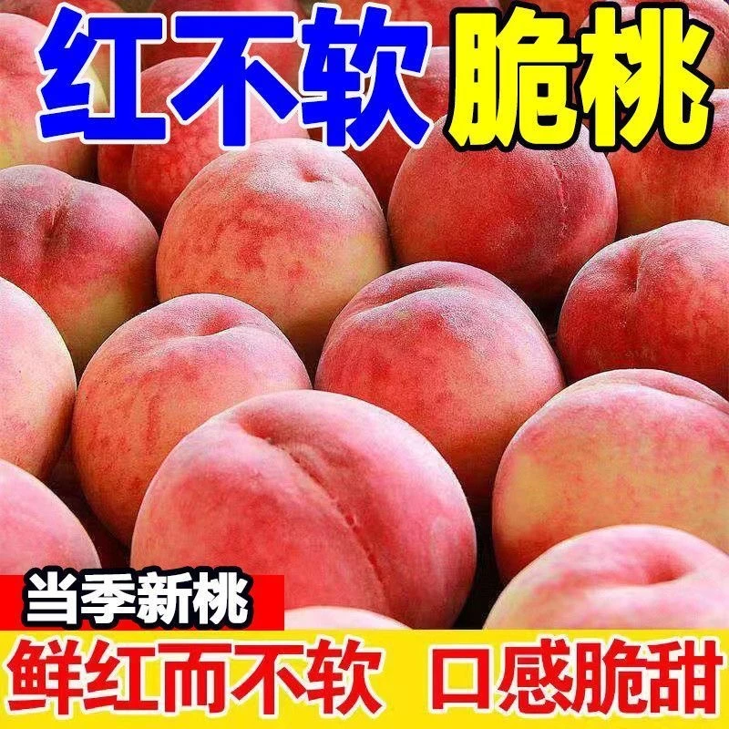 【红不软脆桃】现摘现发正宗脆甜水蜜桃当季新鲜水果桃子孕妇水果