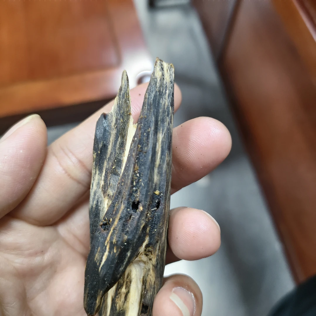 沉香奇楠流油王虫口流油货多样性发一