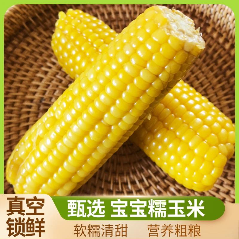 【小棒甜香玉米到手10只 4-5斤】新香甜糯玉米，山西新玉米香软糯甜