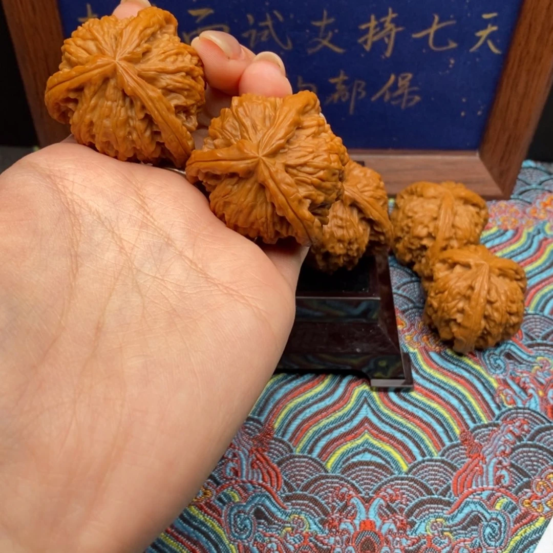 【闪购商品】哈****哈白狮