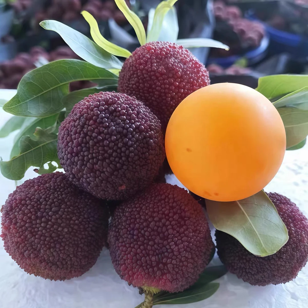 【顺丰】云南东魁杨梅乒乓球大果现摘当季新鲜水果