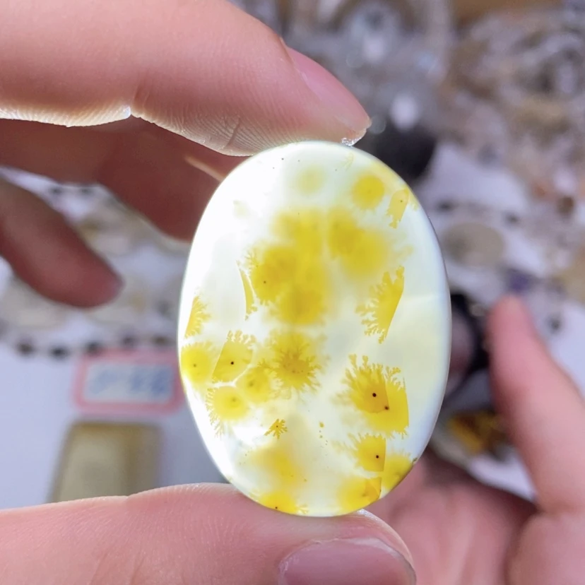 【闪购商品】玛瑙/玉髓颈饰未镶嵌