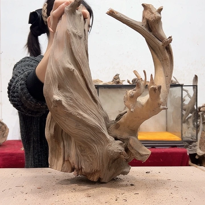 柏木商**卡我们的生活也